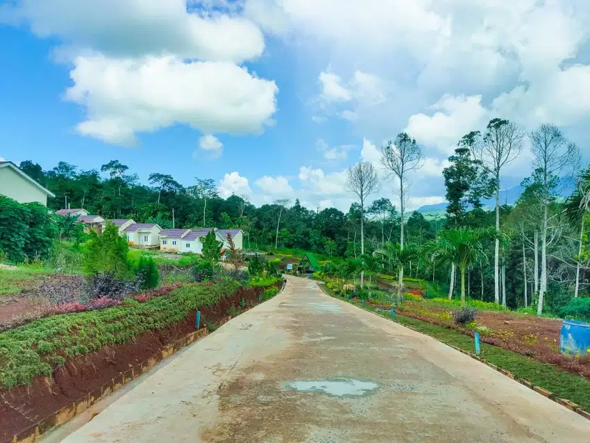 KAVLING DENGAN VIEW DAN BANYAK FASILITAS DEKAT DENGAN KAMPUS
