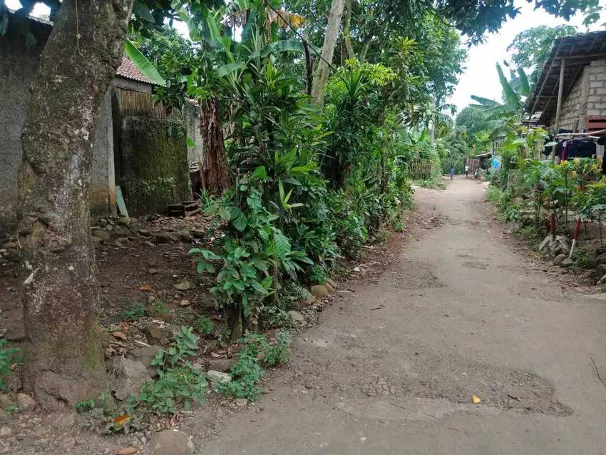 Dijual Murah Tanah  Kavling Dekat Terminal Ciseeng Gratis SHM