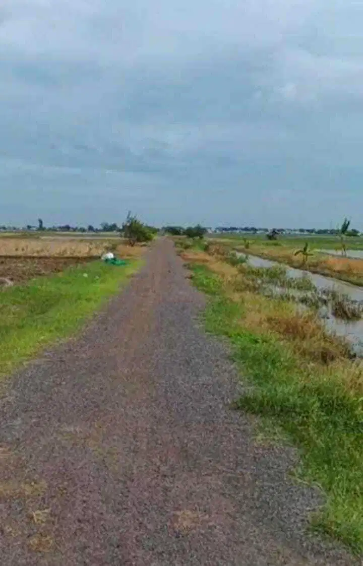 Tanah 2 Hektar Dekat Pelabuhan Patimban Siap Bangun Pabrik Gudang