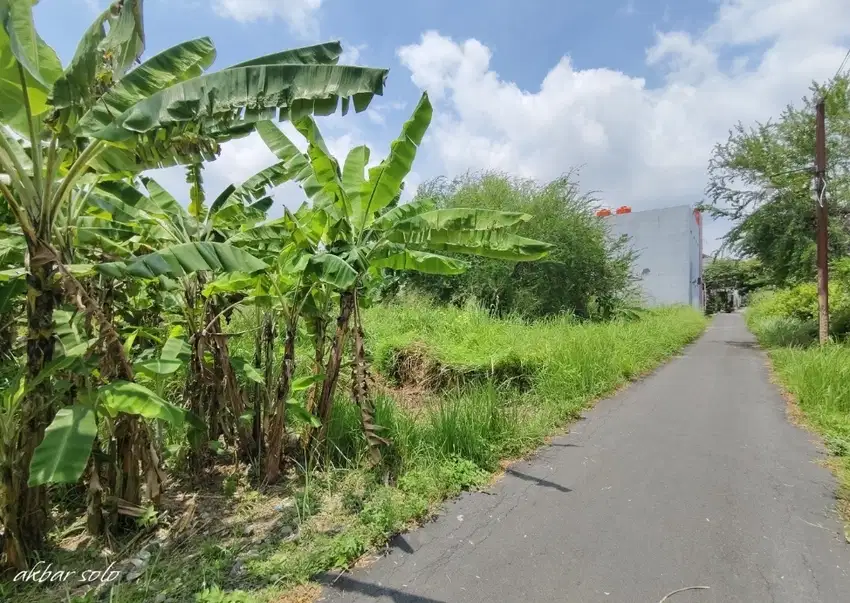 Tanah gang menco kampus ums solo