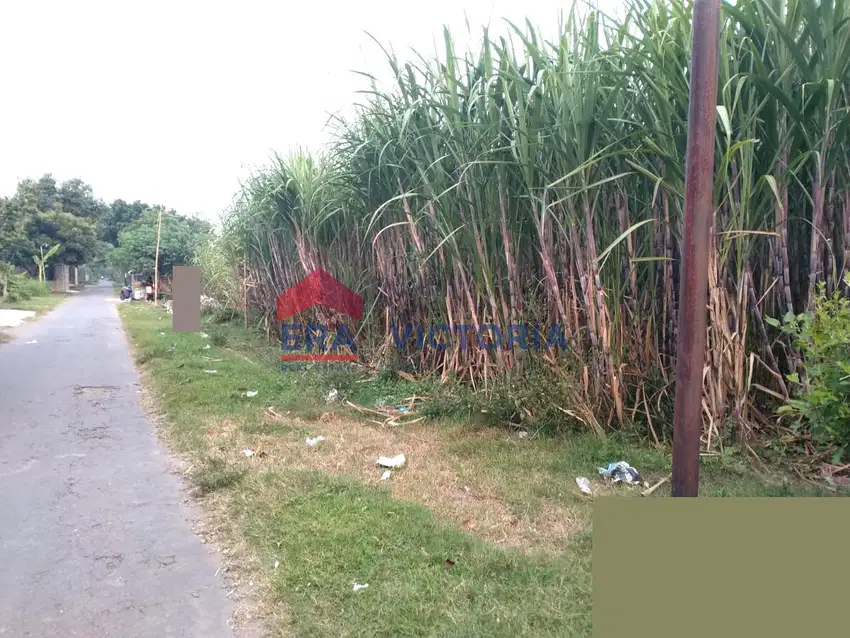 Tanah 3.444 m2 Jual di Besuk Kab Kediri Dekat Perkampungan