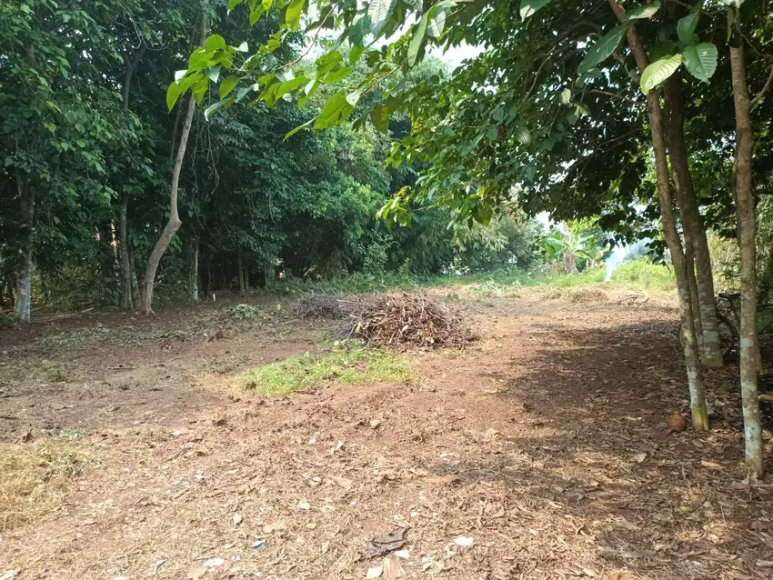 Kavling SHM Cileungsi, Bogor. Fasum Jalan 5 Meter, Cocok Hunian & Kost