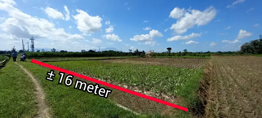 JUAL TANAH SAWAH PRODUKTIF KARANGSONO KANIGORO BLITAR