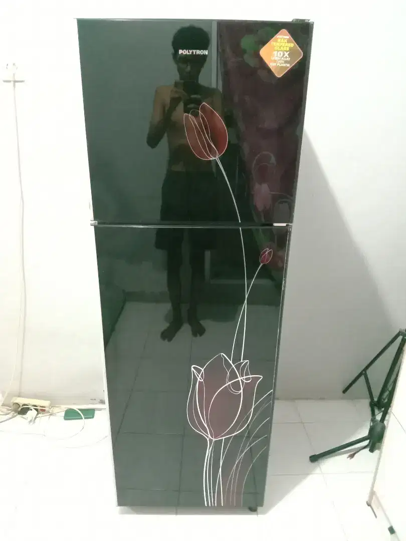 kulkas POLYTRON 2 PINTU