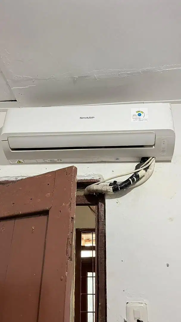 Ac sharp 1/2 pk