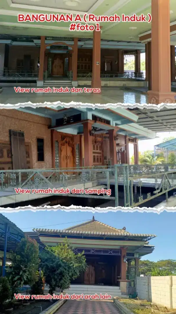 Dijual Cepat Rumah & Lahan 2.350 m² Gempol – Dekat Jalan Raya & Pasar