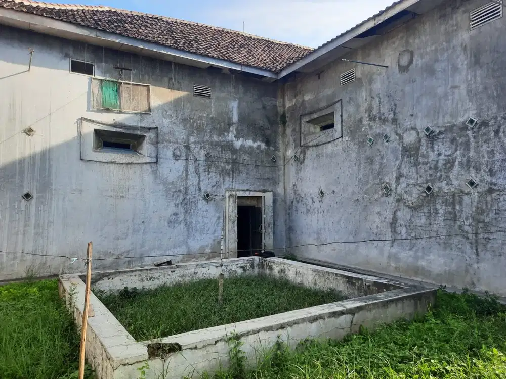 DIJUAL Rumah sarang walet di Grati