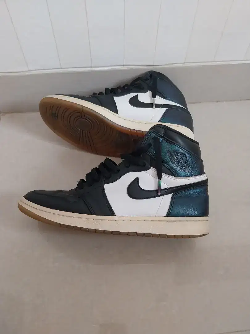 Nike Air Jordan 1 High Chameleon