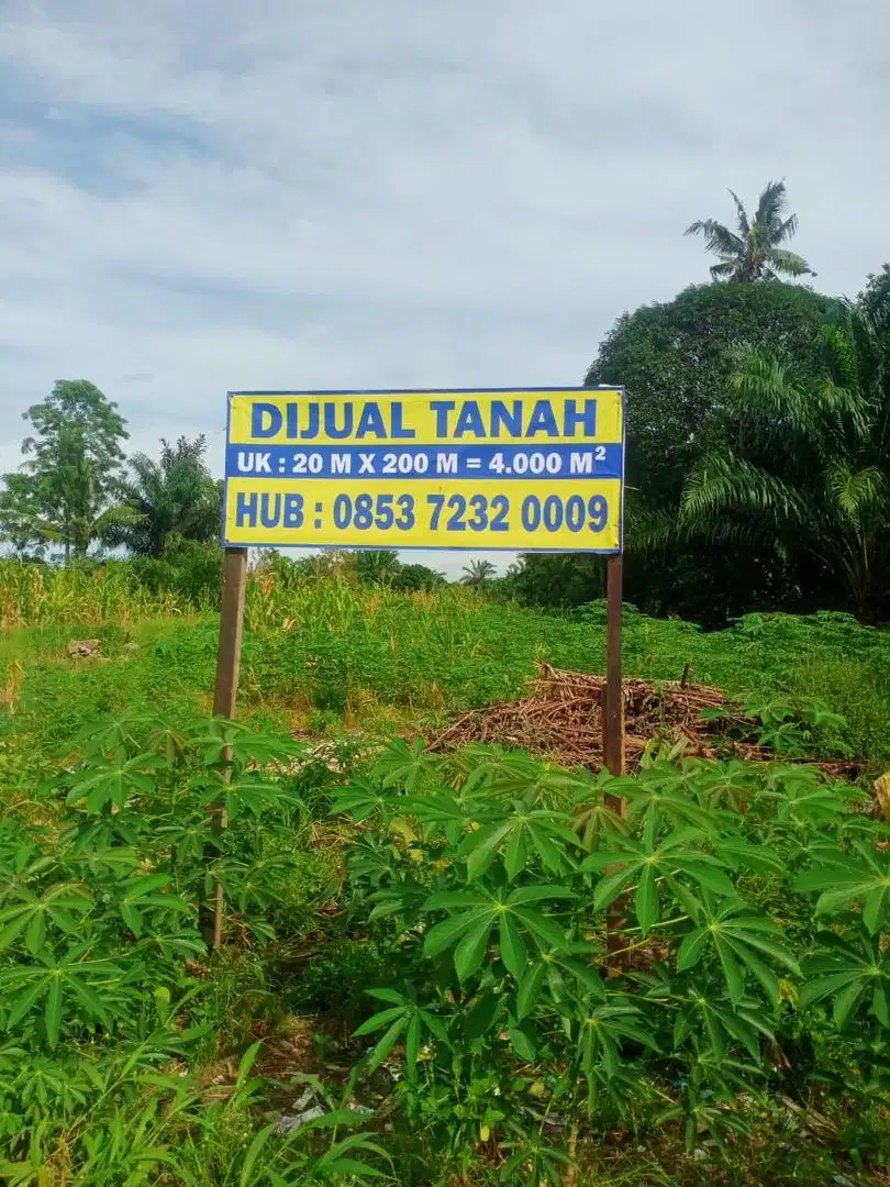 Jual Lahan Tanah Mantap