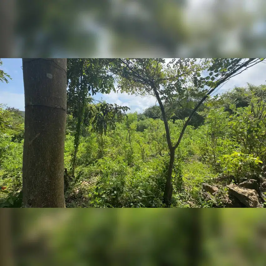 Leasehold Land in Pandawa