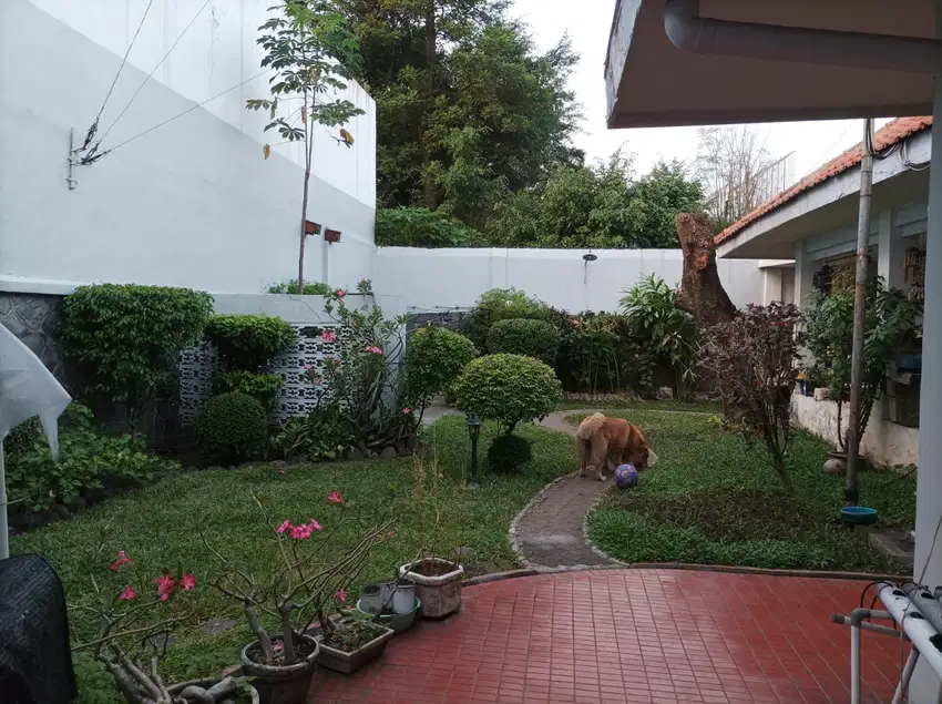 Rumah di jl Kapuas Surabaya Masih Bagus Terawat dekat Tengah Kota
