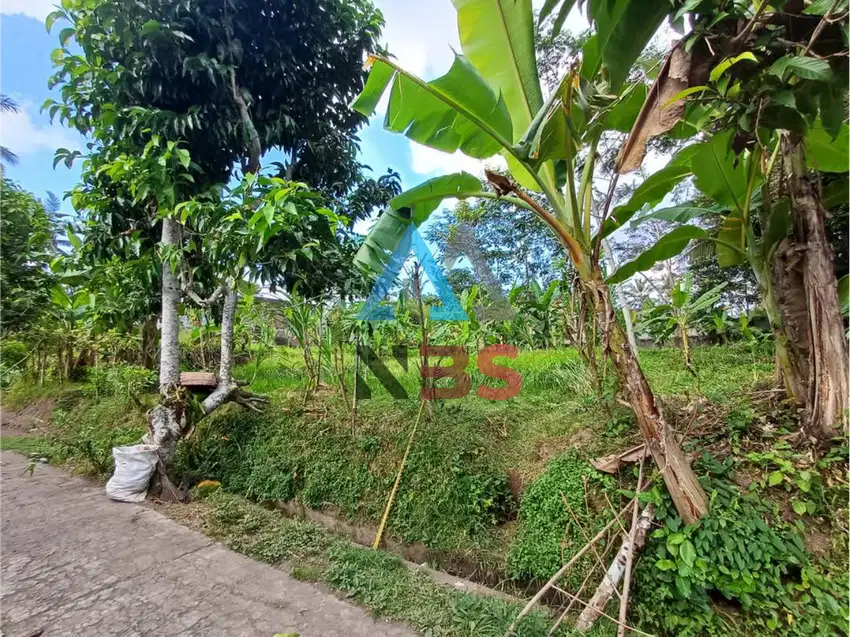 Dijual Tanah Murah  Lokasi di Ubud