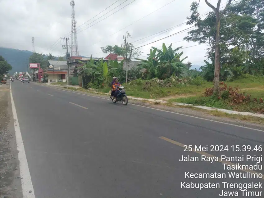 JUAL CEPAT TANAH DI JALUR PANTAI PRIGI ( BU )