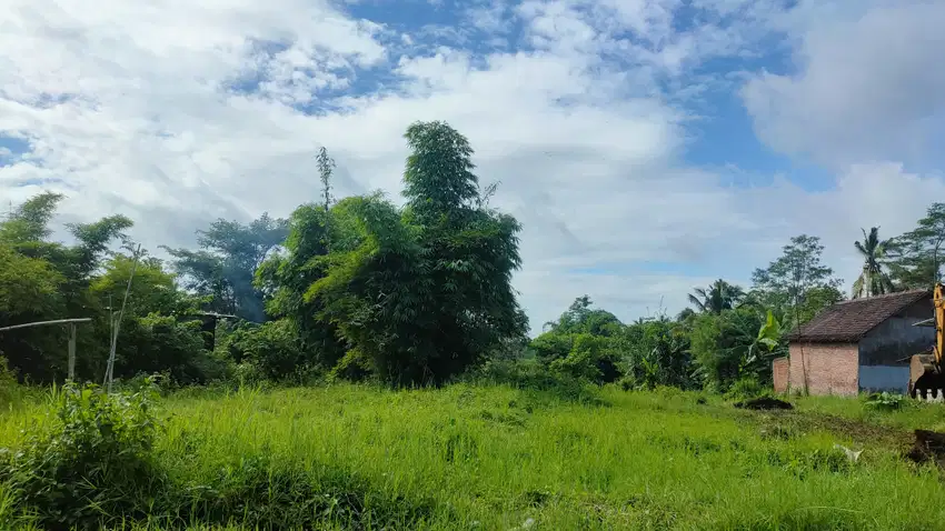 Tanah Dijual di Jl. Losari, Sidorahayu, Luas 66 m², Legalitas SHM