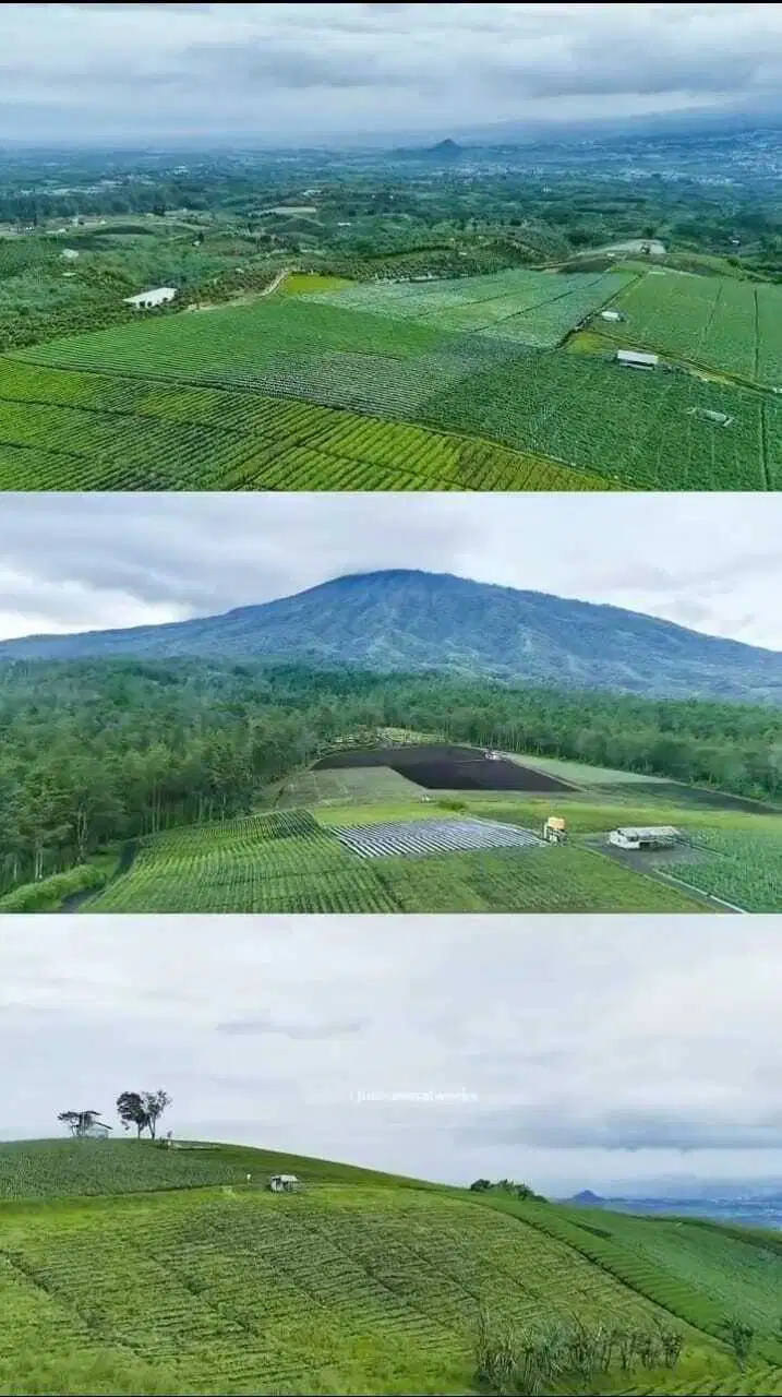 DI JUAL LAHAN LOKASI BUMIAJI BUKIT JENGKOANG KOTA BATU