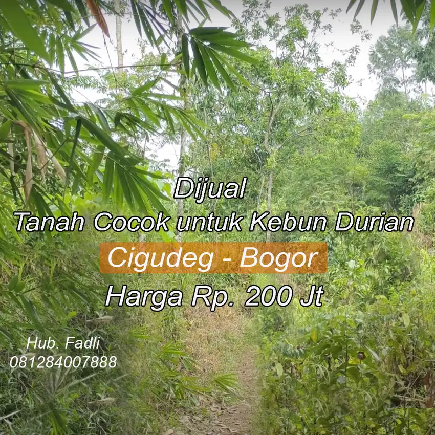Dijual tanah murah untuk berkebun Duren buah 100K/ meter cigudeg Bogor
