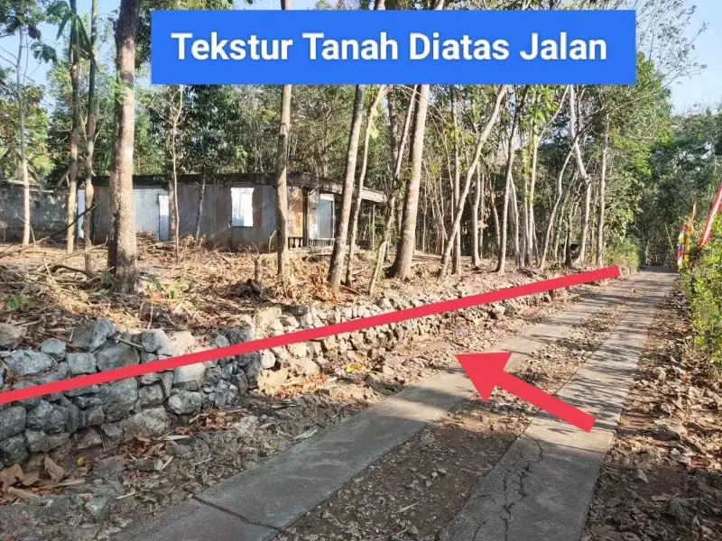 Dijual Tanah murah strategis di Bejiharjo Karangmojo Gunungkidul
