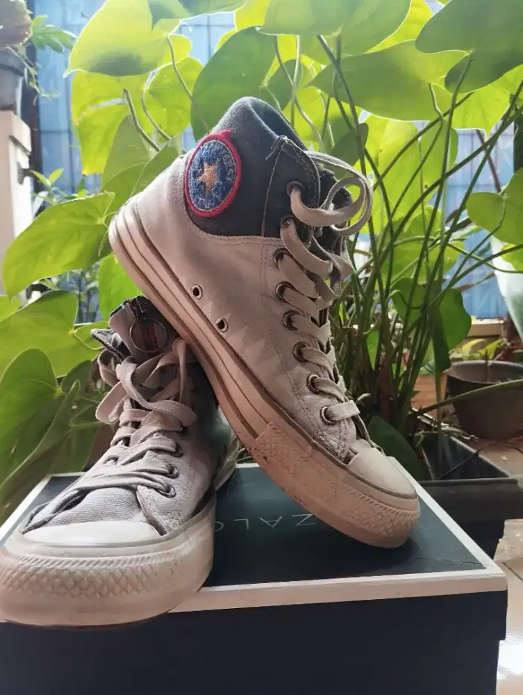 Sepatu CONVERSE CHUCK TAYLOR SHARK ORIGINAL BELI DIJERMAN
