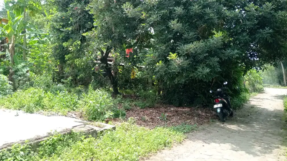 Tanah pekarangan 218