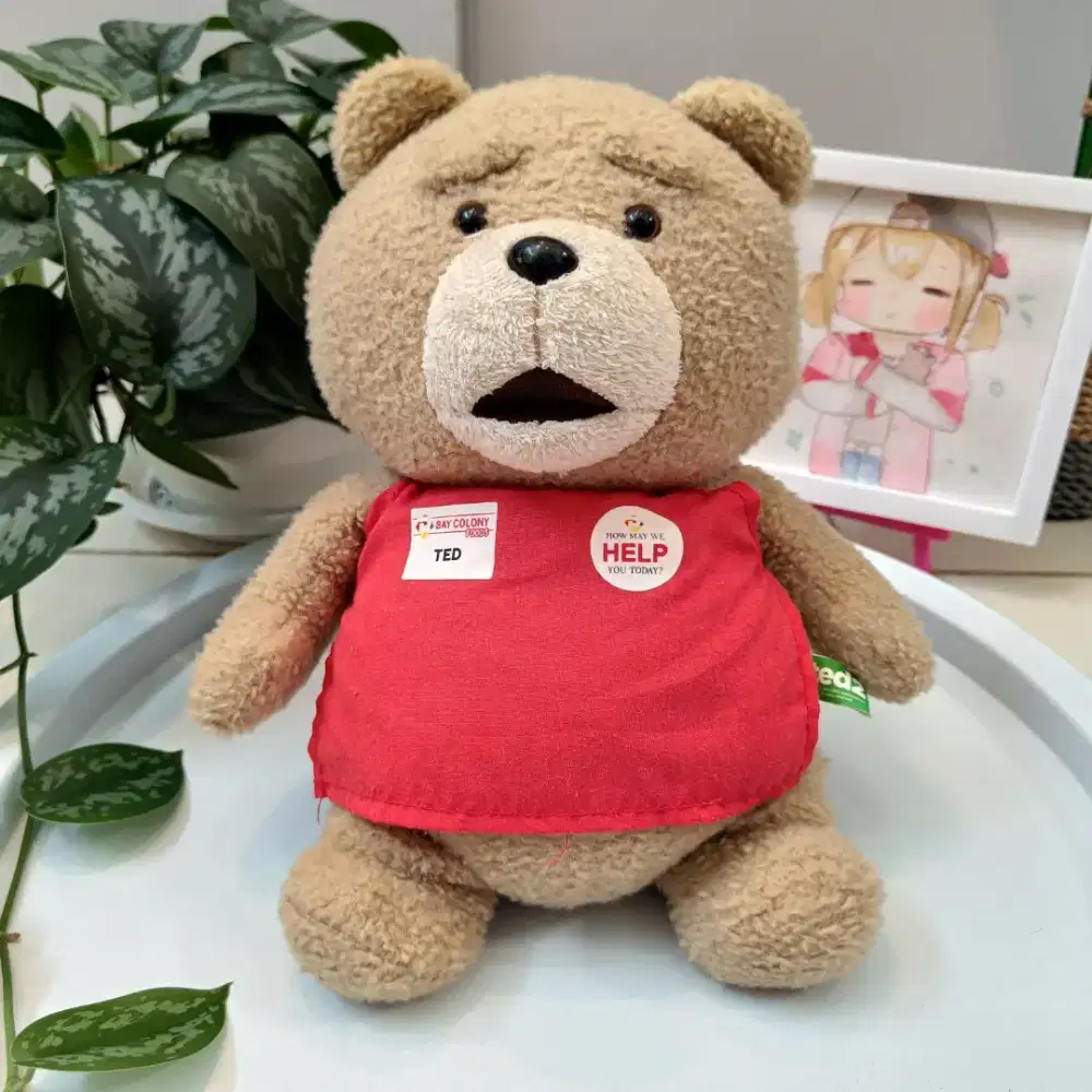 Boneka Preloved Beruang Ted