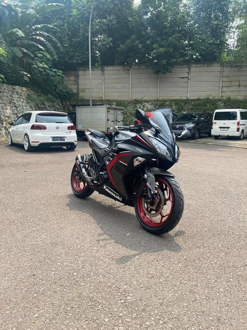 Kawasaki Ninja 250 abs