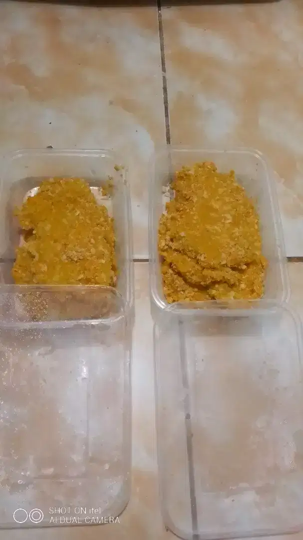 Jual ayam katsu