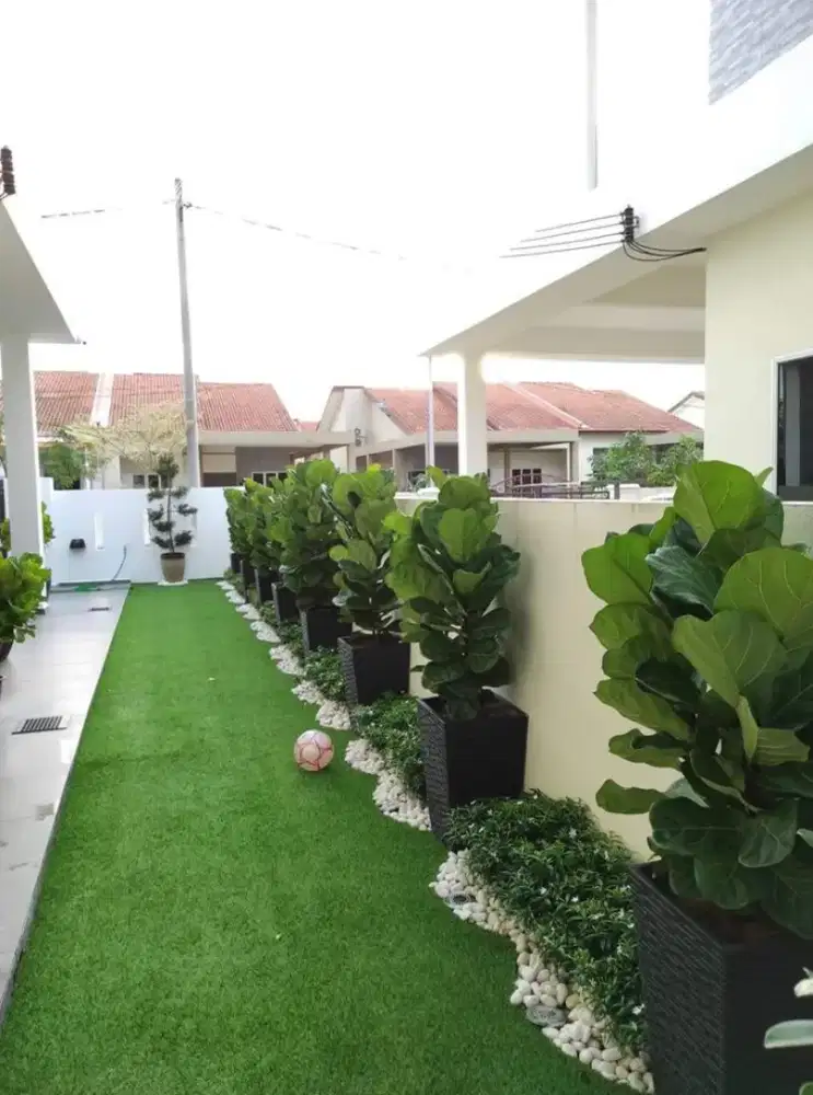 Jasa pembuatan taman kering