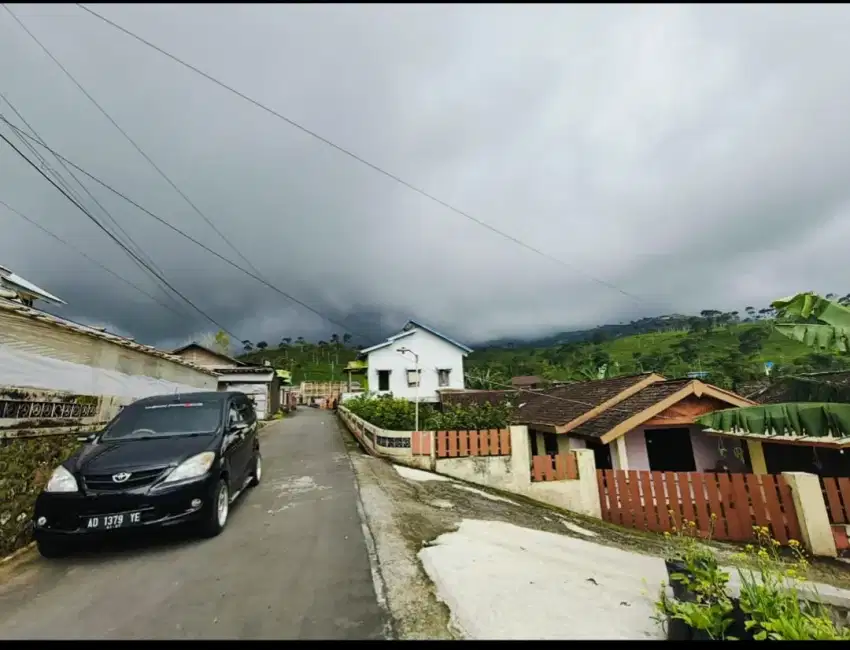 Tanah datar kemuning