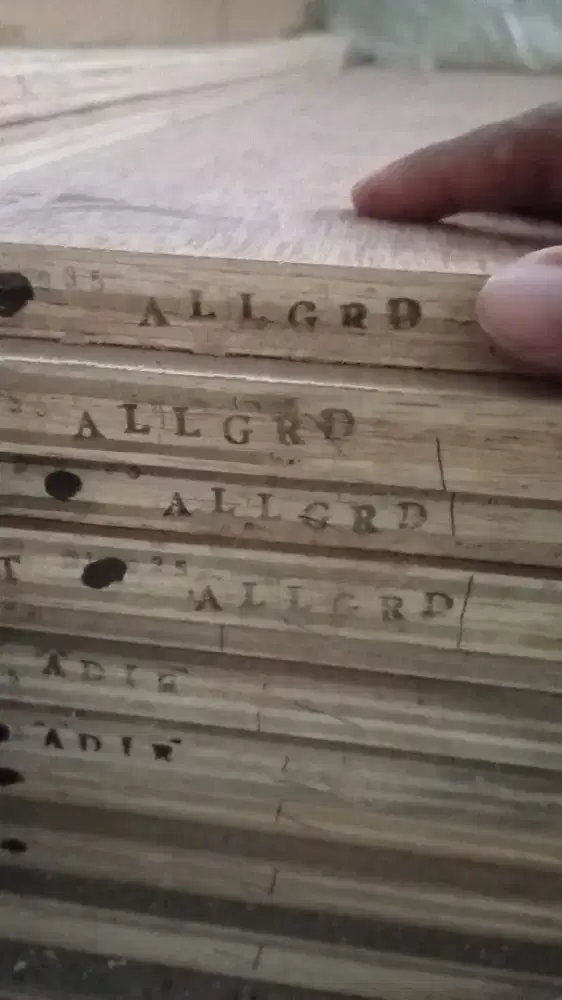 Triplek / plywood / multiplek 9mm sidoarjo