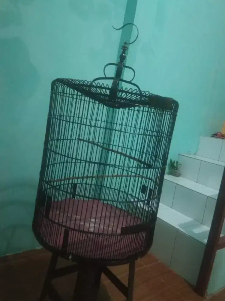 Dijual kandang murai