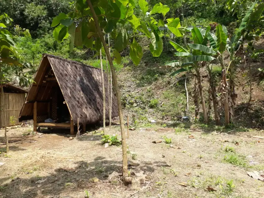 Tanah Pekarangan Daerah Wisata Kalibiru