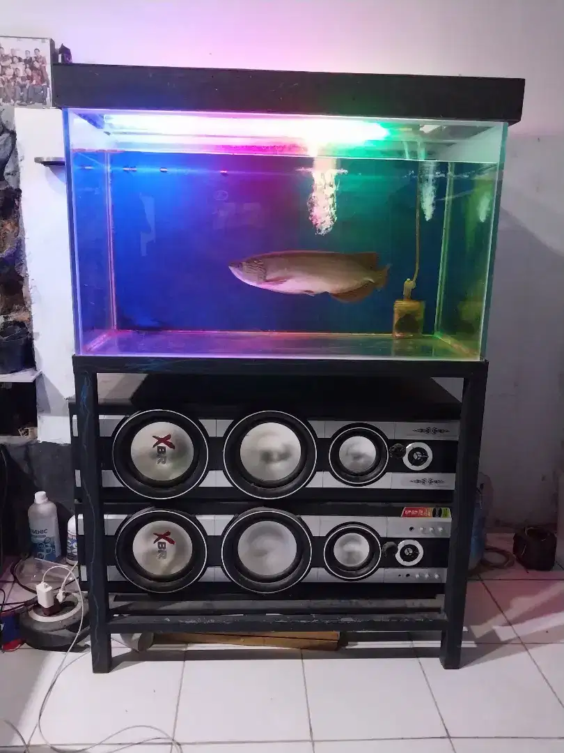 Aquarium uk 90x60x60 Tebal 10 mili fullset rak besi