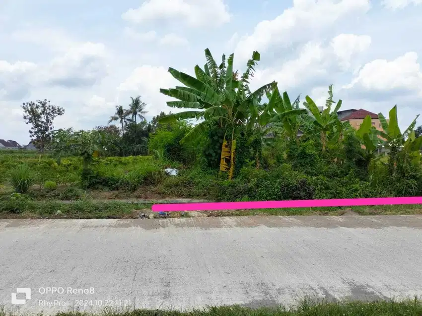 TANAH STRATEGIS DEKAT KAMPUS SANATA DAERMA,UPN & STADION MAGUWOHARJO