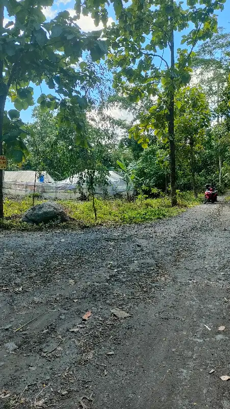 Dijual tanah pekarangan 1700m ld 50m di manisrenggo