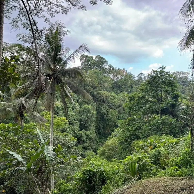 LAHAN DENGAN VIEW BAGUS DI KELIKI, UBUD RIVERSIDE - BALI