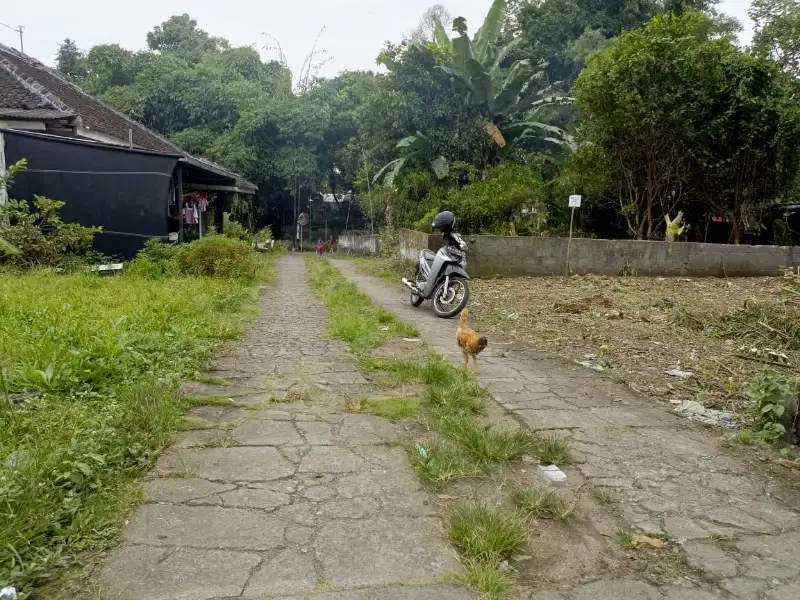 Tanah jodag cebongan mlati sleman jogja