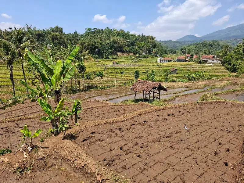 JUAL CEPAT TANAH MURAH BANJARAN BANDUNG SELATAN