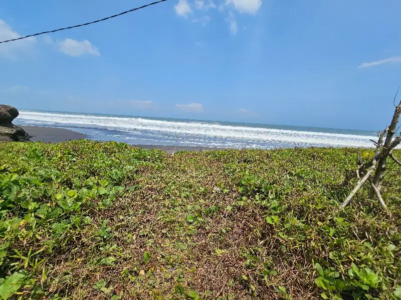 Dijual tanah los pantai lokasi dekat villa waka gangga tabanan bali