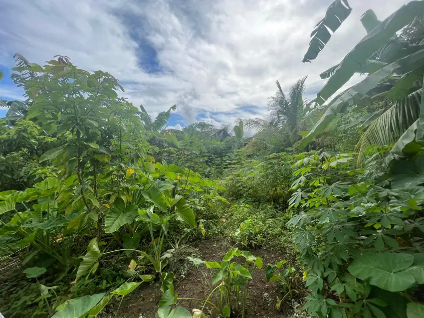 Dijual Tanah luas 1.030M2 di Girian Bitung Sulawesi Utara