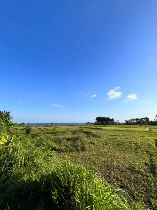 LAHAN OCEAN VIEW DI PANTAI SIYUT, GIANYAR - BALI