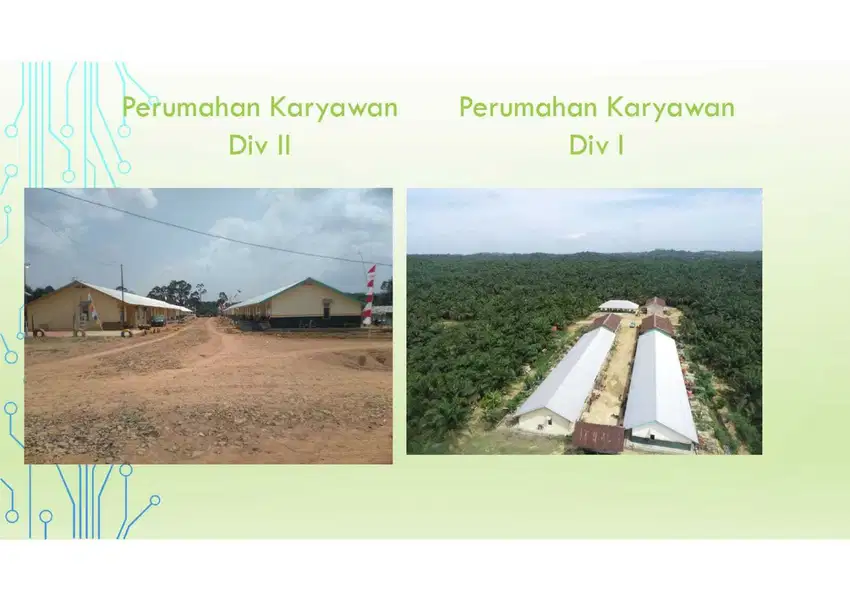 Lahan Sawit di Musi Rawas di Jual
