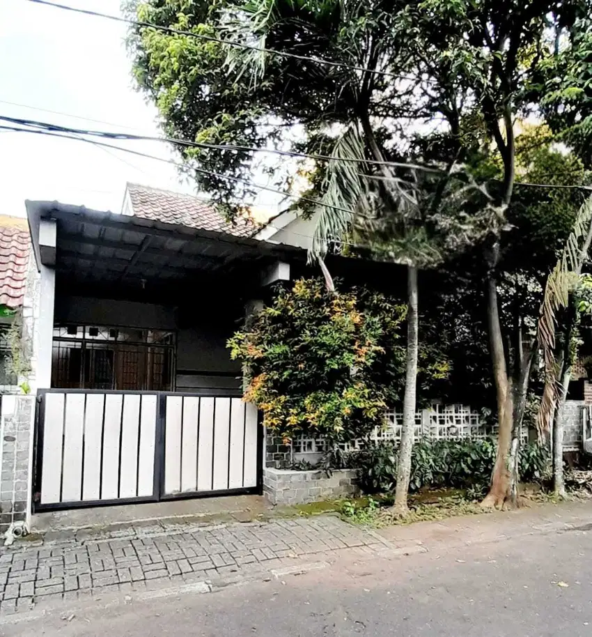 Rumah Standard Lokasi bagus Tanah Luas  Anggeek Loka BSD