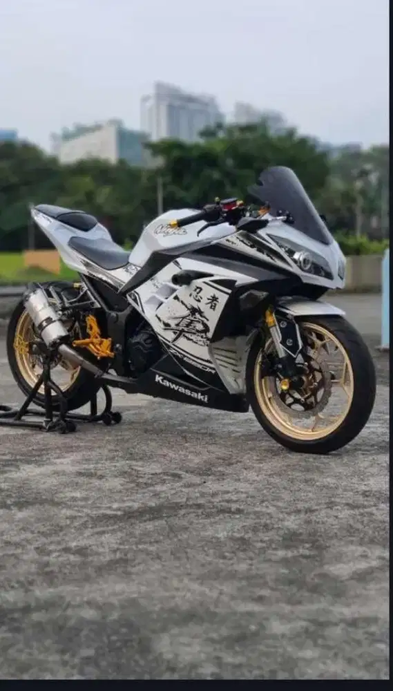 Kawasaki Ninja 250 F1