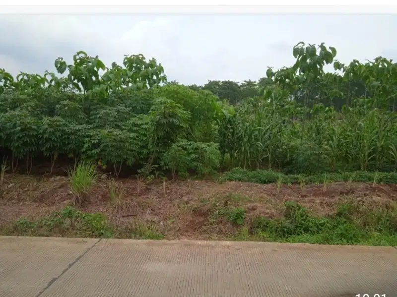 Dijual Tanah Perumahan Pinggir Jalan  Komplek BSB Mijen Semarang