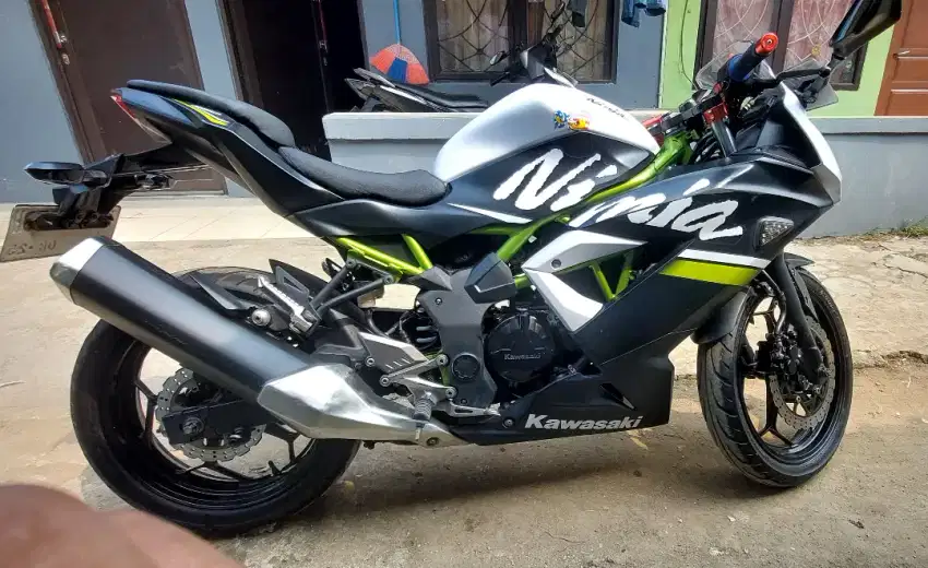 Kawasaki Ninja 250SL / Ninja mono