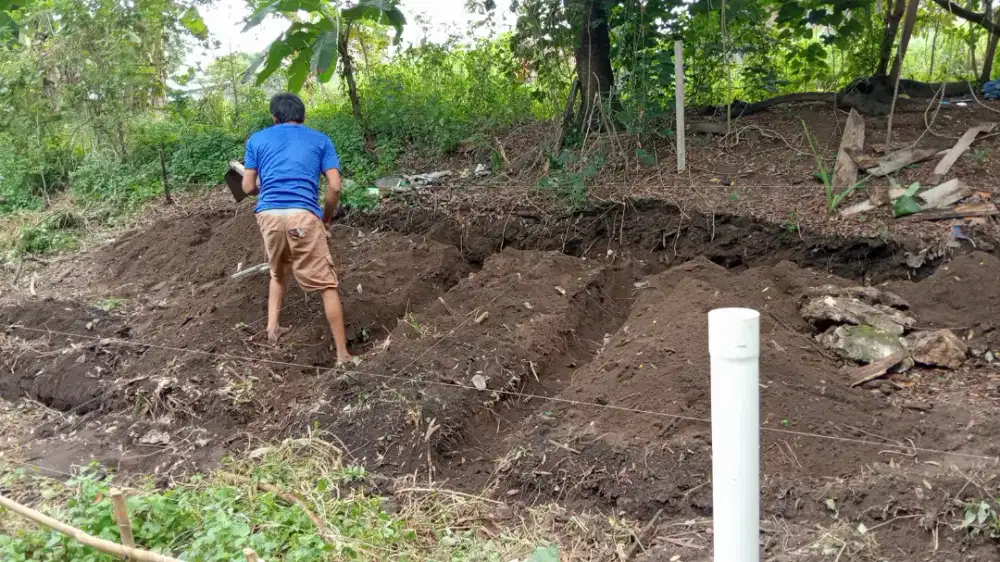 Plafon rangka baja ringan renovasi dan bangun rumah