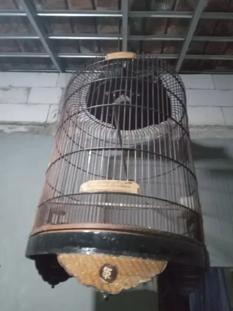 Sangkar burung murai /kandang Murai no 1