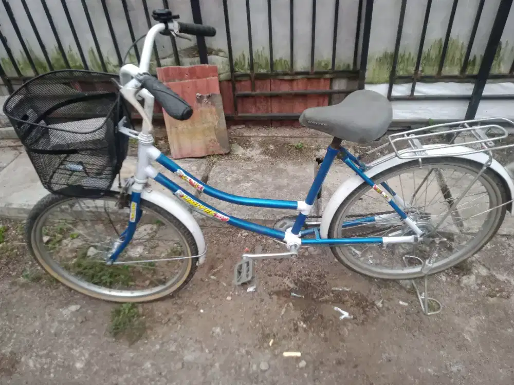 Sepeda mini ring 24 Siap pakai