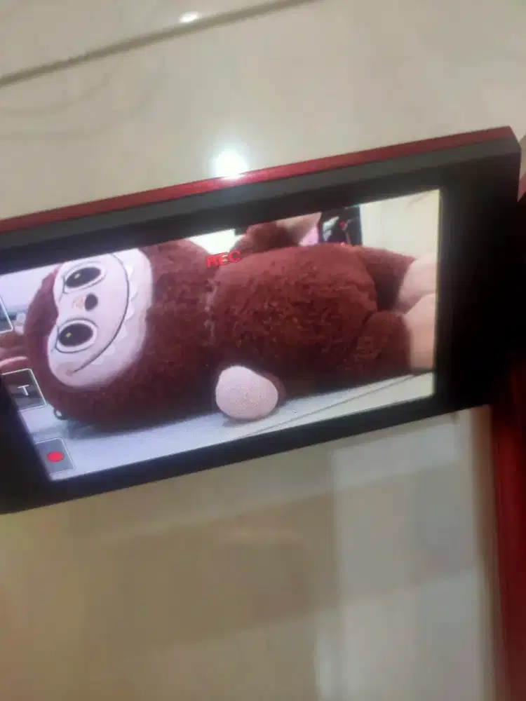 Handycam Sony DCR SR-68E Merah