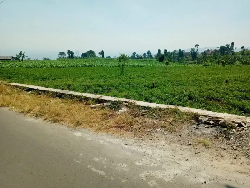 Jual Tanah Murah Pinggir jalan desa Area Cimaung puntang